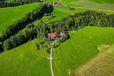 Appartamento Vacanza con famiglia Tiefgraben am Mondsee