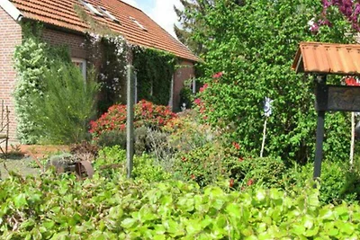 Vakantieappartement Gezinsvakantie Ostrhauderfehn
