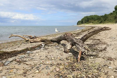 Vakantieappartement Gezinsvakantie Barendorf