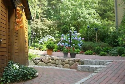 1-Raum-Appartement (u.a. App. 5, App.