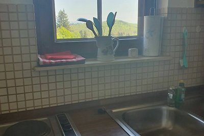 Vakantieappartement Gezinsvakantie Bad Sachsa