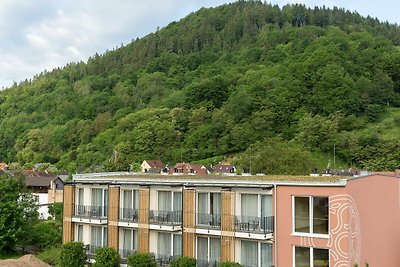 Hotel Cultuur en bezienswaardigheden Neder-Franken