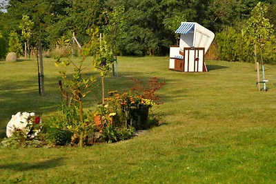 Vakantieappartement Gezinsvakantie Lohme