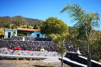 Casa Bejenado A