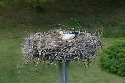 Ferienwohnung Storchenblick