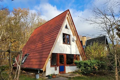 Ferienhaus Fischland Ahrenshoop