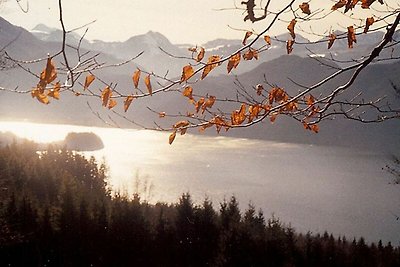 Vakantiehuis Ontspannende vakantie Mondsee