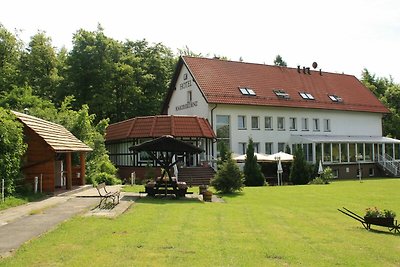 Hotel Cultuur en bezienswaardigheden Friedrichsbrunn