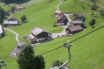 Vakantieappartement Gezinsvakantie Schoppernau