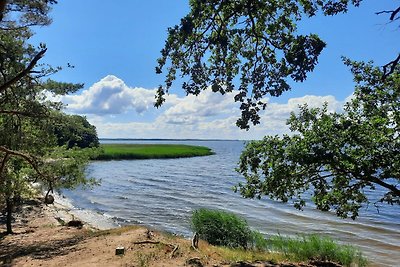 Vakantieappartement Gezinsvakantie Altwarp