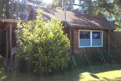 Vakantieappartement Gezinsvakantie Bergen auf Rügen