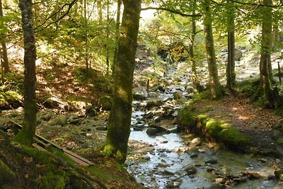 Vakantieappartement Gezinsvakantie Oberstaufen