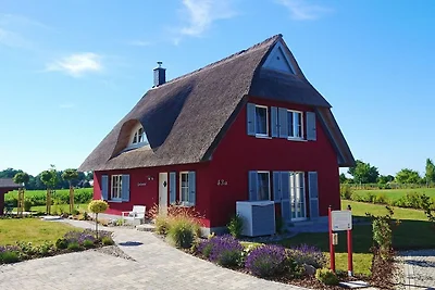 Vakantiehuis Ontspannende vakantie Zierow