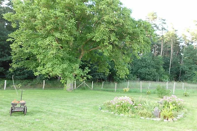 Vakantieappartement Gezinsvakantie Schönfeld