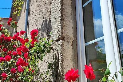 Vakantiehuis Ontspannende vakantie le vigan