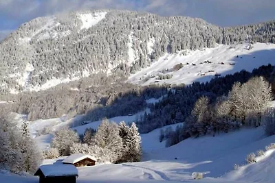 Appartamento Vacanza con famiglia Schoppernau