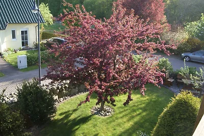 1. Ferienwohnung EG