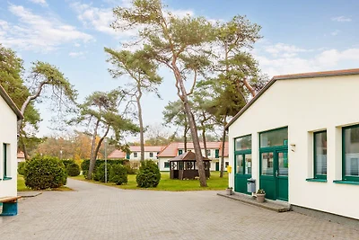 Albergo Cultura ed escursioni Altenkirchen