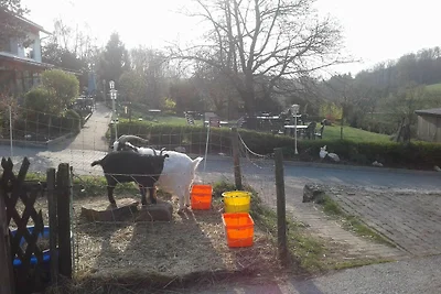 Vakantiehuis Ontspannende vakantie Brombachtal