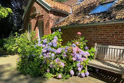 Ferienwohnung 1 Akazie