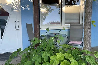 Weide 3 - 40 m2 Apartment mit eigenem...