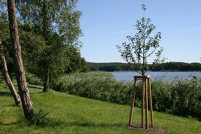 Vakantieappartement Gezinsvakantie Loddin