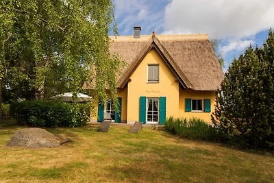 Ferienhaus Schwalbe