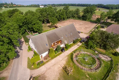 Ferienwohnung Lipizzaner