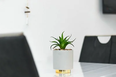 Ferienwohnung Ebbe (3)