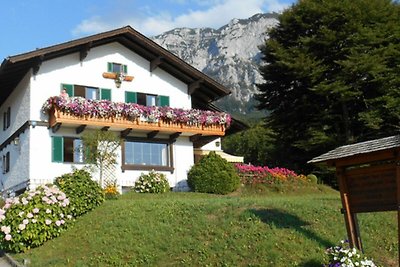 Vakantieappartement Gezinsvakantie Steinbach am Attersee