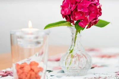 Appartement Vacances avec la famille Dunum