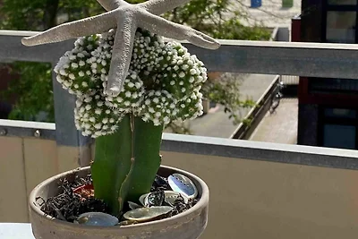 Whg Lütt Lee i. Hus in Lee, Sandwall 60 Wyk