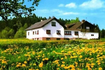 Albergo Cultura ed escursioni Miltenberg