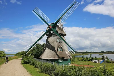 Vakantieappartement Gezinsvakantie Gelting
