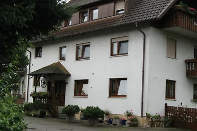 Appartamento Vacanza con famiglia Hinterzarten