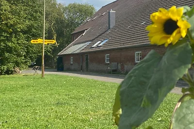 Ferienwohnung Knutt