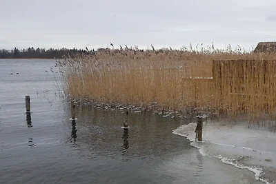 Fewo Naturparadies für 2 Pers.