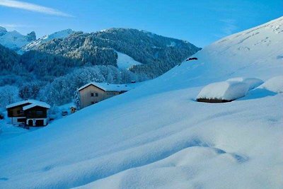 Vakantieappartement Gezinsvakantie Schoppernau