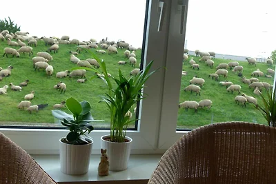 Fabys Ferienwohnung
