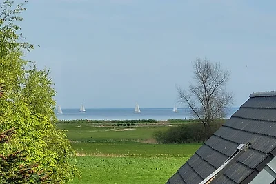 Ferienhaus Ringhuus