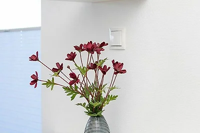 Ferienwohnung Buhne 6