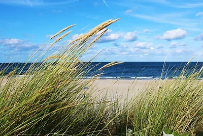 Q10 strandnah max. 5 Pers.