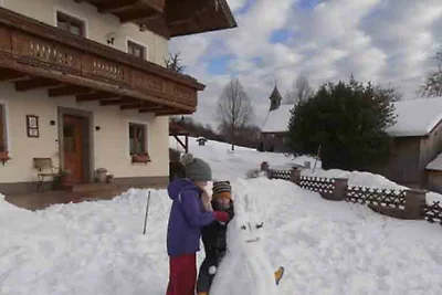 Appartamento Vacanza con famiglia Mondsee