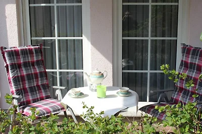 Albergo Cultura ed escursioni Dierhagen