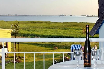 Reetdachhaus Meridian