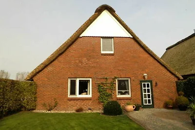 Ferienhaus Am Deich