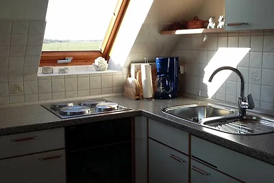 Vakantieappartement Gezinsvakantie Friedrichskoog