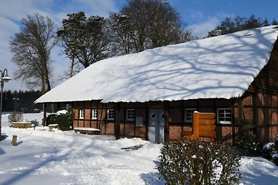Vakantieappartement Gezinsvakantie Bersenbrück