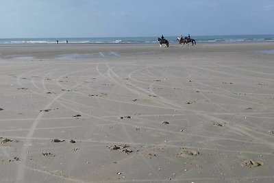 Vakantiehuis Ontspannende vakantie De Panne