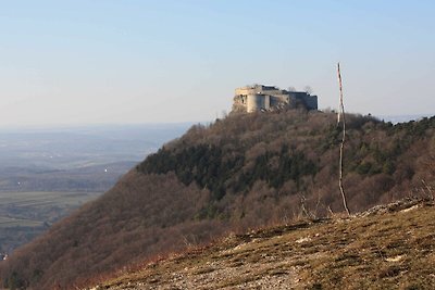 Albergo Cultura ed escursioni Dettingen an der Erms